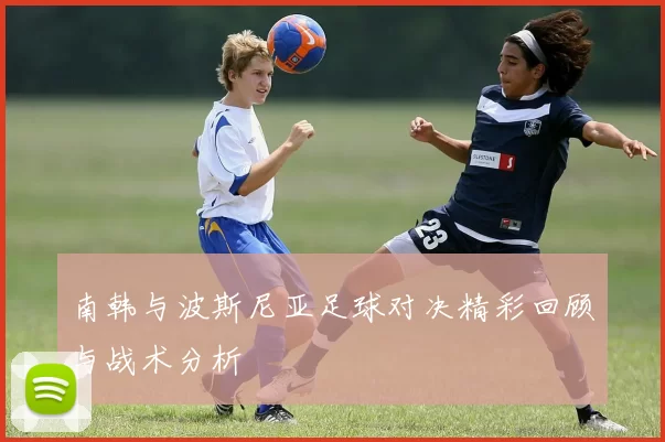 南韩与波斯尼亚足球对决精彩回顾与战术分析