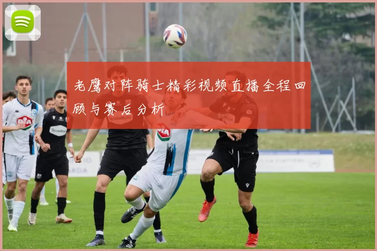 老鹰对阵骑士精彩视频直播全程回顾与赛后分析