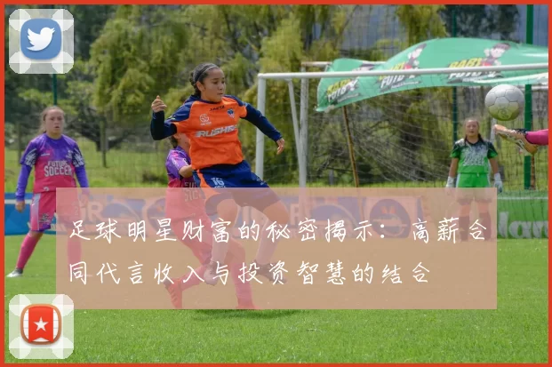 足球明星财富的秘密揭示：高薪合同代言收入与投资智慧的结合