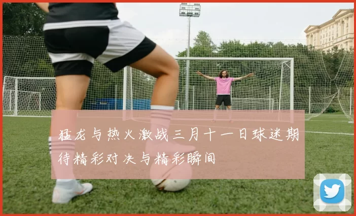 猛龙与热火激战三月十一日球迷期待精彩对决与精彩瞬间